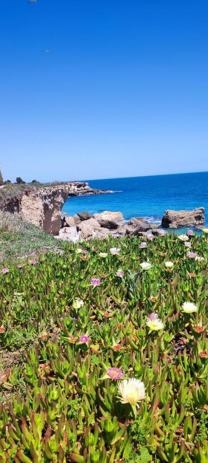 Costa Norte Vinarós Екстериор снимка